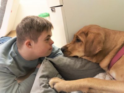 Arbeit mit dem Therapiehund Arbeit mit dem Therapiehund